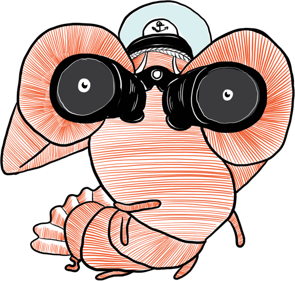 Wir nehmen deine Website unter die Lupe. Unser KI-SEO-Audit zeigt, wie KI-Suchsysteme deine Inhalte lesen.