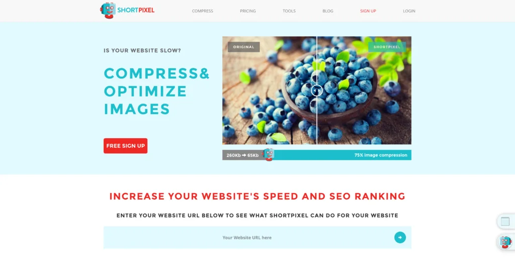 Wordpress schneller machen