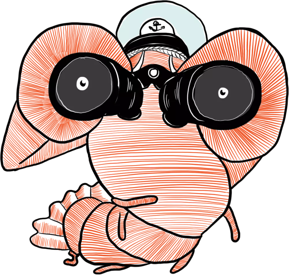 Wir nehmen deine Website unter die Lupe. Unser SEO-Audit legt alle Schwachstellen offen.