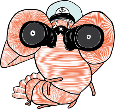 SEO Agentur Bremen